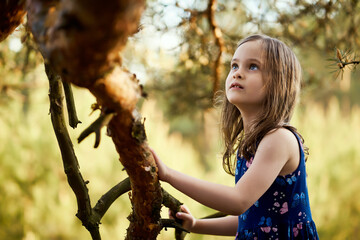 two girls in summer dresses are climbing a tree in the forest