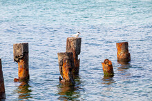 Rusty Pipes In The Sea