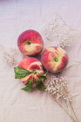 Natural peach on fabric background