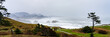 Ecola State park on a rainy winter day with Canon Beach and Haystack Rock in the background.