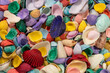 A collection of multi colored seashells, Canon Beach, Oregon