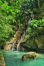Cascada Naturaleza Tropical Jamaica