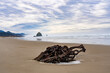 Driftwood and Haystack Rock, Canon Beach, Oregon