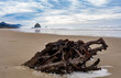 Driftwood and Haystack Rock, Canon Beach, Oregon