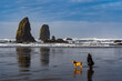 A young woman with her dog, taking photos, reflected in the wet sand in front of the Nedls, Canon Beach, Oregon