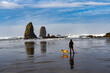 A young woman with her dog, taking photos, reflected in the wet sand in front of the Nedls, Canon Beach, Oregon