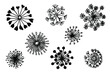 Hand-drawn dandelions in doodle style. Round dandelions on a white background. Vector illustration