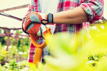 Wall Mural - Gardener working at garden centre