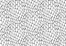 Abstract Styled Snake Scales Animal Skin Seamless Pattern Design. Black And White Seamless Camouflage Background