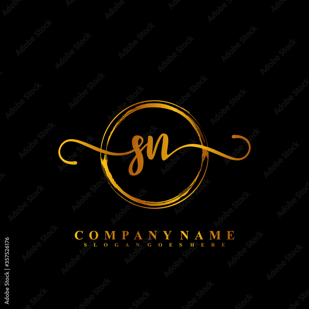 Initial Letter SN Signature Handwriting and Elegant Logo Design Vector ...
