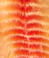 Sticker - Tilapia fish fillet as background.