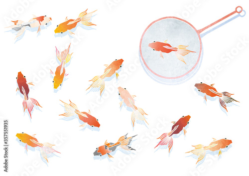いろんな模様の泳ぐ金魚と金魚すくいのベクターイラスト 水彩 Vecteur Stock Adobe Stock いろんな模様の泳ぐ金魚と金魚すくいのベクターイラスト 水彩 Vecteur Stock Adobe Stock