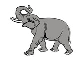 Fototapeta Dinusie - Vector grey elephant isolated on white background, cartoon illustration
