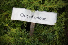A Humorous Sign Reading 'out Of Odour' A Plant With A Strong Scent