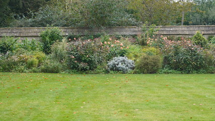 garden with flowers