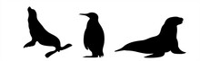 Vector Silhouette Of Set Of Sea Lions And Penguin On White Background. Symbol Of Arctic Animals.