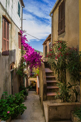 Wall Mural - scorcio di paese dell elba