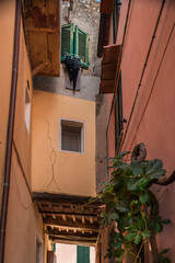 Canvas Print - scorcio di paese dell elba