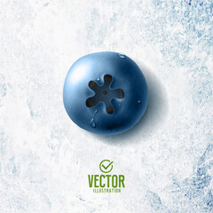 Vector realistic blueberry illustration on white stone background
