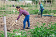 © JackF - Woman  professional gardener using mattock during working