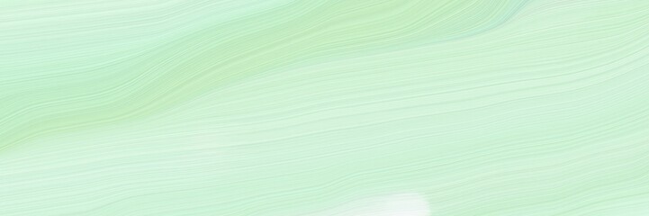 Poster - background elegant graphic with tea green, honeydew and ash gray color. elegant curvy swirl waves background design