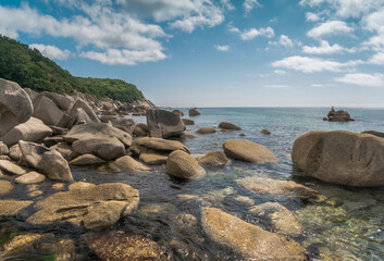 Wall Mural - rocky beach in the summer