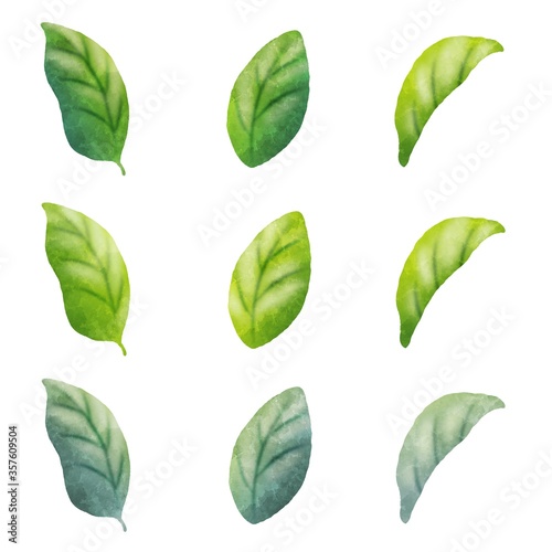 水彩風な葉っぱのイラスト素材 Stock Illustration Adobe Stock