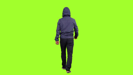 Back view of a hooded man walks on green screen background, Chroma 