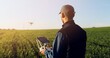 © VAKSMANV - Caucasian man farmer in hat standing in green wheat field and controlling of drone which flying above margin. Male using tablet device as controller. Technologies in farming. Rear. Back view.