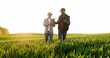 © VAKSMANV - Caucasian woman and man in hats walking in field and talking about harvest. Male showing to female something on tablet device. Couple of farmers examining green plants of wheat in sunlight.