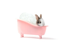 Adorable Fluffy Rabbit Bathing And Relaxing With Bubble In Pink Bath Tub On White Background, Cute Bunny Pet Animal Concept