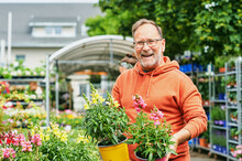 Middle Age Man Gardener Buying Plants In Garden Center, Holding Pots With Yellow And Pink Garden Snapdragon