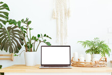 Modern Trendy Home Office Workplace With Green Plants And Boho Interior Decor Background. Still Life Composition