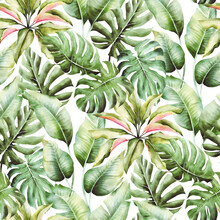 Watercolor Seamless Pattern With Palm Leaves