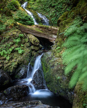A Waterfall Flowing Through Lush Green Wilderness. Quinault Rainforest - Olympic National Park 