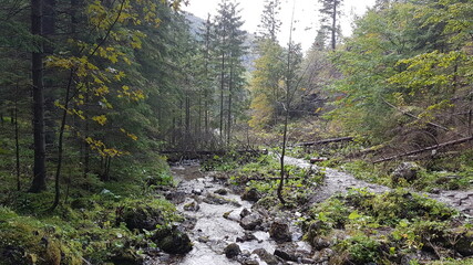 Zakopane