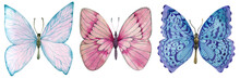 Set Of Blue, Red And White Butterflies. Watercolor Hand-drawn Illustration.