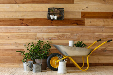 Wall Mural - Set of gardening supplies near wooden wall