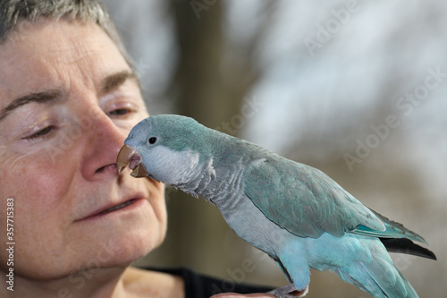 Fotografía Male blue Quaker Parrot talking near the face of a retired female owner