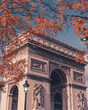 Arc de Triomphe on the Champs Elysees in Paris