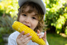 Autumn Lifestyle. Homegrown Organic Food. Vegan Children Nutrition. Little Boy Eating Corn On The Cob.