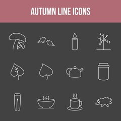 Canvas Print - Unique autumn vector line icon set