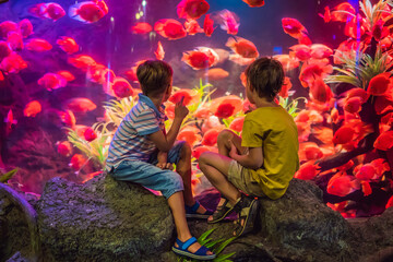 Wall Mural - Two young boys enjoy the view at an aquarium