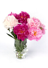 Wall Mural - Bouquet of white and pink peonies in the vase isolated on white.