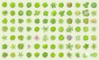 © Алексей Шпадарук - Vector set. Trees top view. Different plants and trees vector set for architectural or landscape design. (View from above) Nature green spaces.