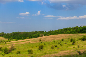 Sticker - Spring landscape with green trees, meadows, fields and blue sky