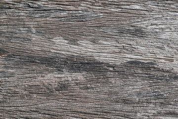 Poster - old wood texture. background,Square background with flooring or boards with wood grain. Old aged timber in old house