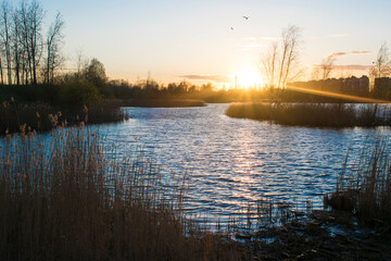  The lake, the sunset, the sun looks through lens, water, thicket, night