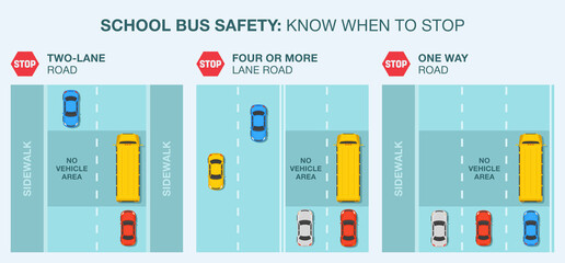 School bus stop rules infographic. Road safety. Flat vector illustration.