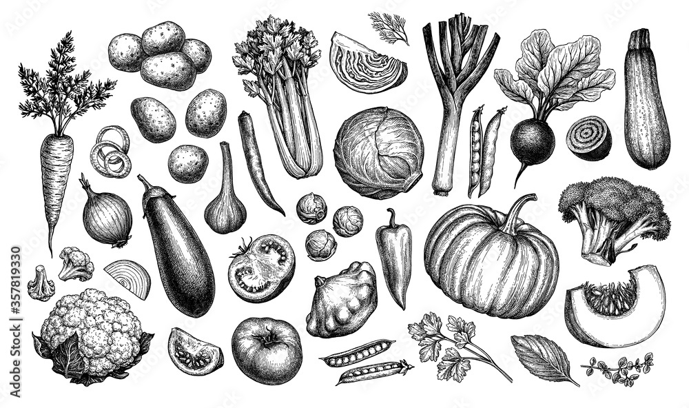 Big set of vegetables. - obrazy, fototapety, plakaty 